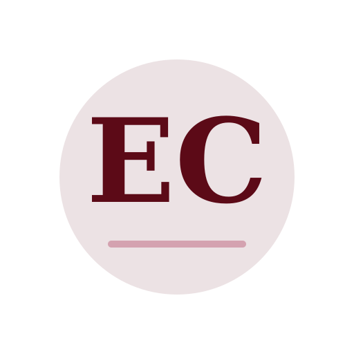 Erika Chimney Services logo